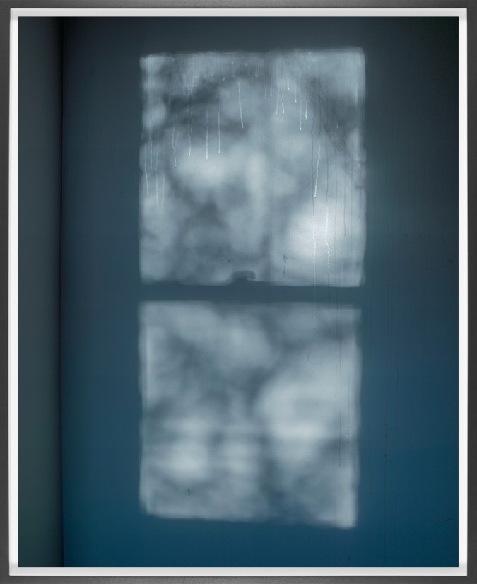 Color photograph of light reflecting through a window onto a blue wall with shadows of tree branches framed in gray