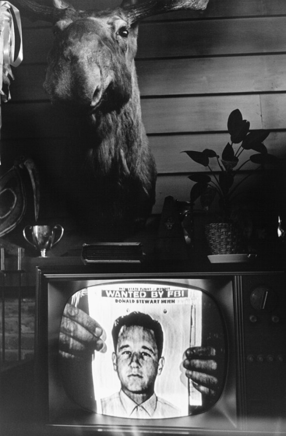 Black-and-white photograph of a television with an FBI wanted poster on screen and a taxidermy moose head on the wall in the background
