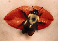 Color photograph of a bee sitting on a model's bright red painted lips