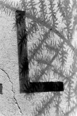 Black and white photograph of a detail of a hand painted sign of the letter 'L' painted onto a wall, shadow of some leaves