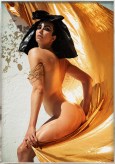 Color image of a color photograph of a nude figure holding a gold metallic fabric while wearing a black plastic wig framed in distressed metal