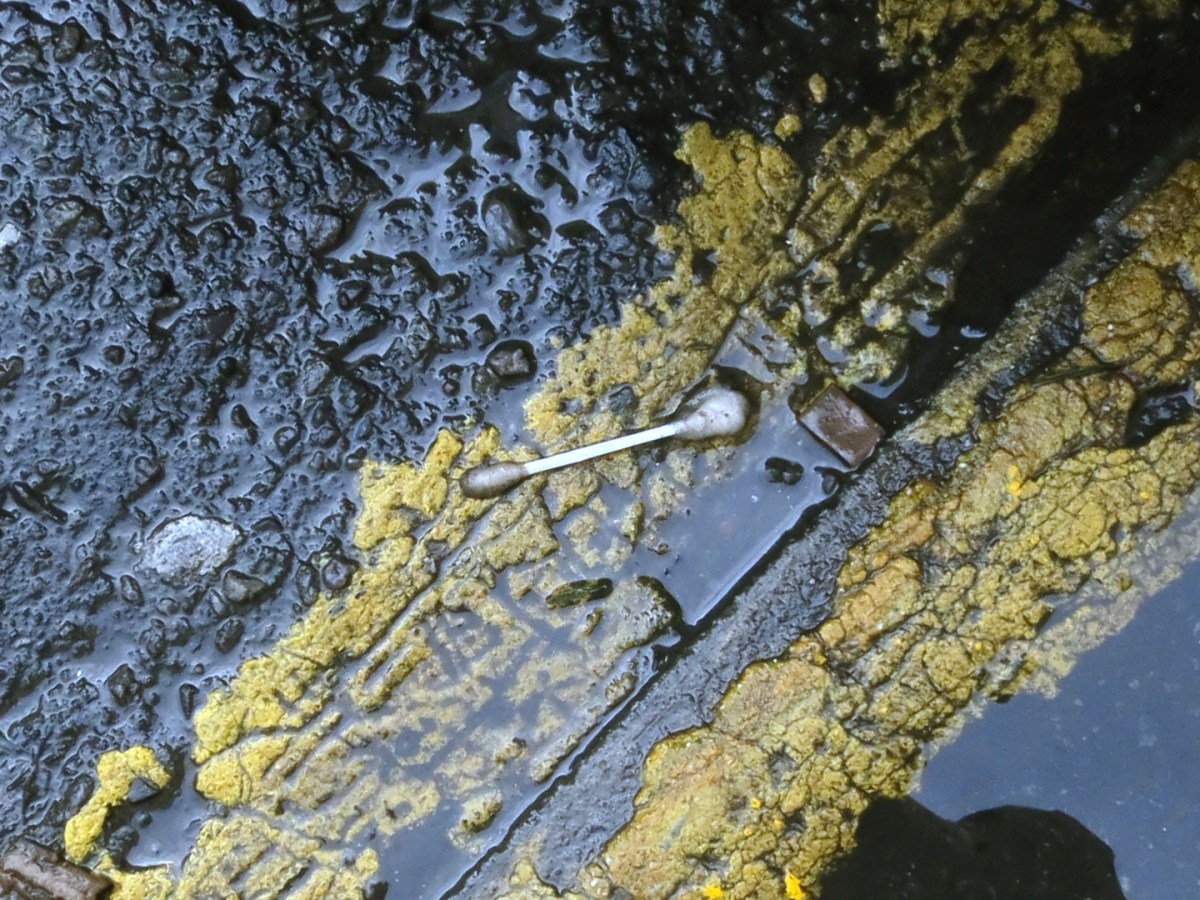A photograph of a cotton swab in the street, over a road stripe