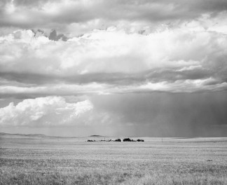 Black and white photograph of open grasslands with a small cluster of trees and houses in the distance, under a cloudy sky.