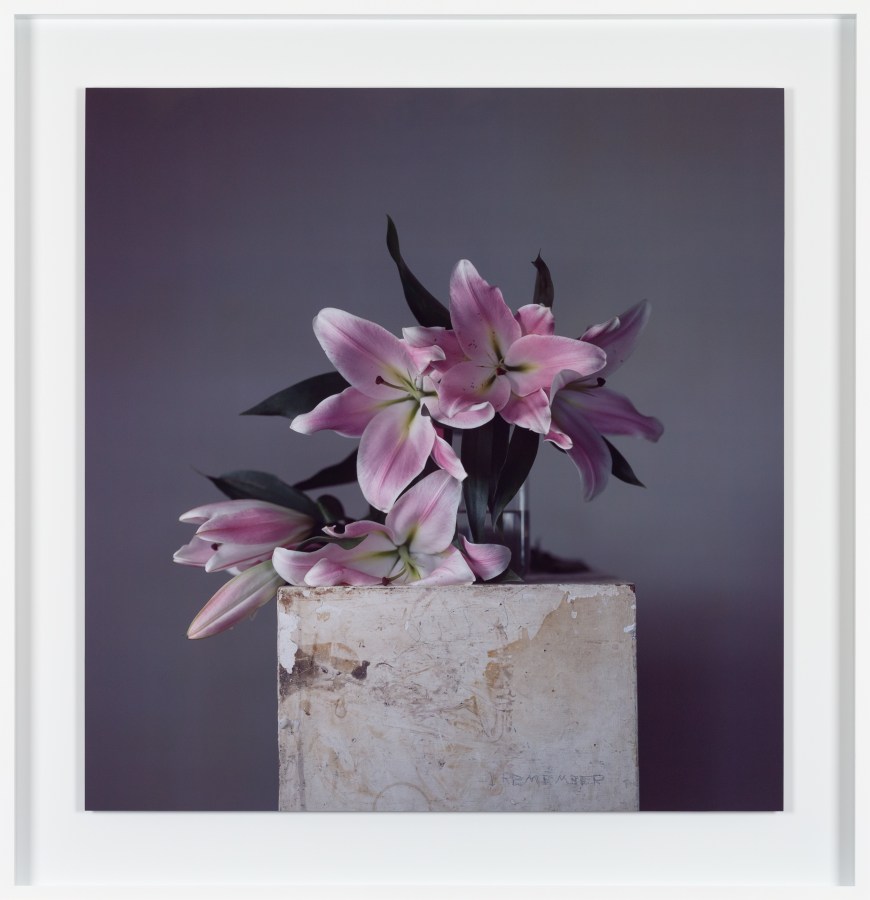Framed color photograph of a vase of pink lily flowers on a plinth