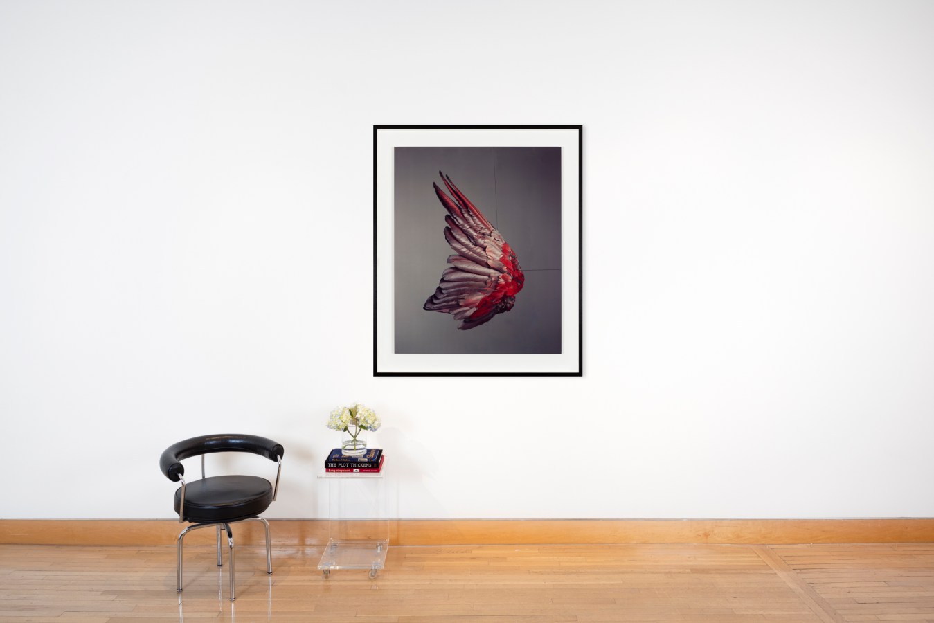 Color photograph of a chair and clear acrylic side table with a color photograph of a parrots wing suspended with black thread framed in black on a white wall