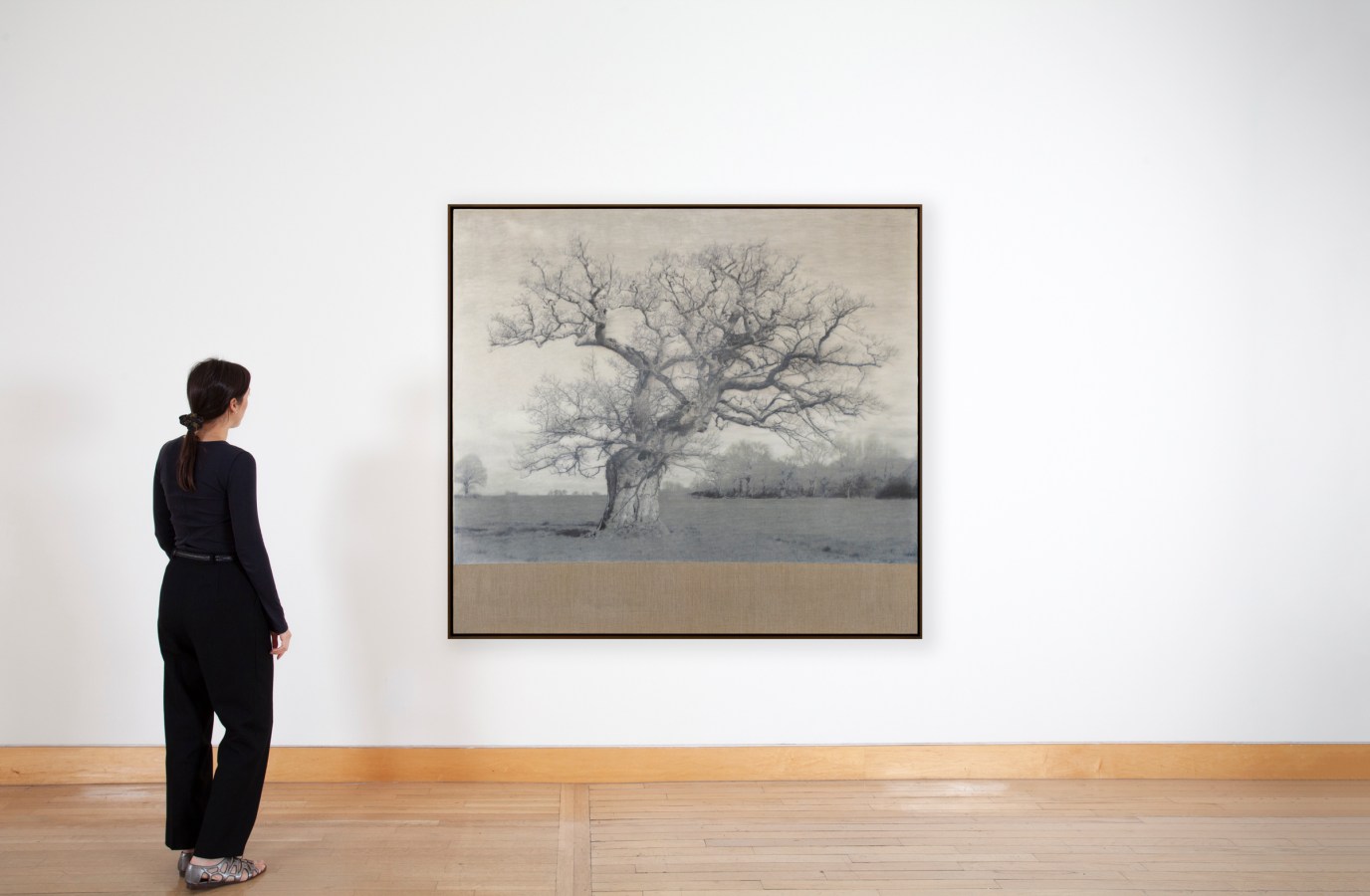 Color image of a figure viewing a mixed media artwork depicting a tree framed in a dark wood on a white wall