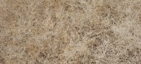 Color photograph of tangled dry yellow grass