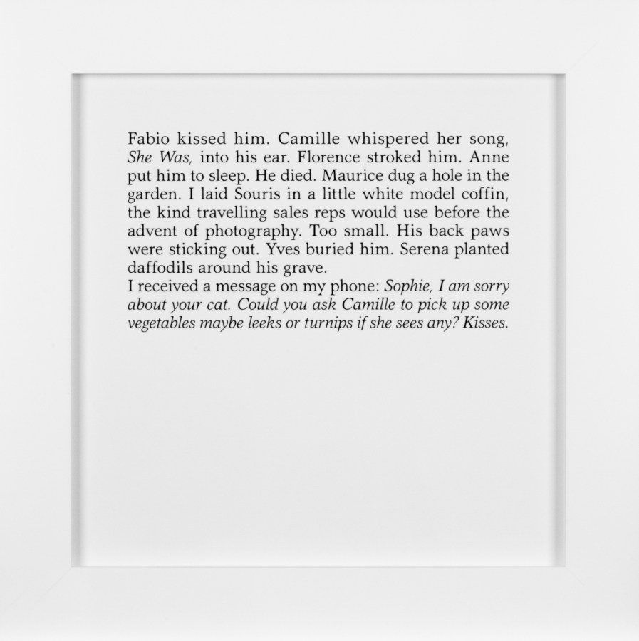 A square framed text panel describing the death of the artist's cat