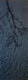Color photograph of the silhouette of a tree branch in bloom against ripples of water