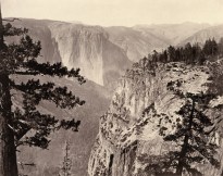 Black and white photograph of a rocky canyon with pine trees in the foreground